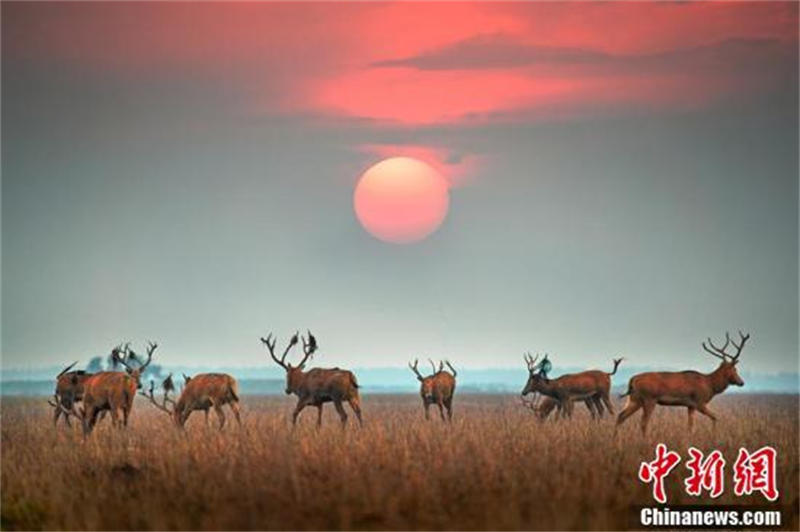 “中国式现代化”为何强调“人与自然和谐共