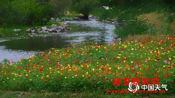 入秋啦！9月13日北京迈入秋天门槛 为2