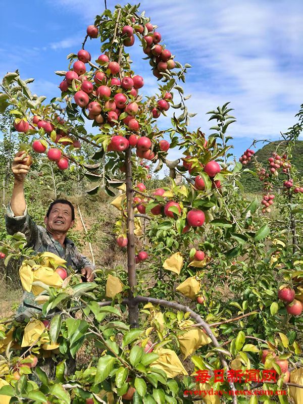 周恩来总理五八年亲书奖状丢失  追寻几十