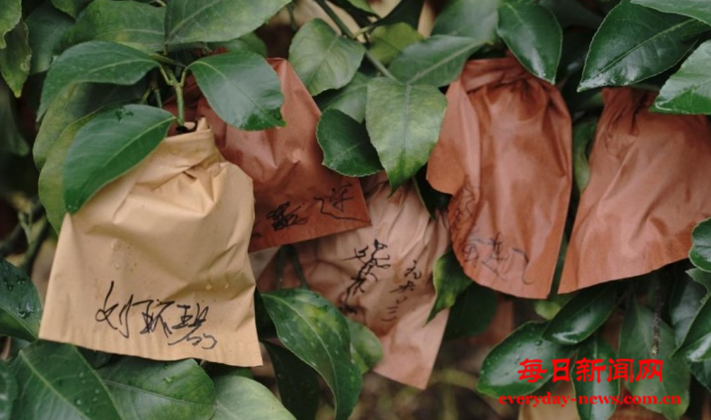 去1111111111.png 去1111111111.png