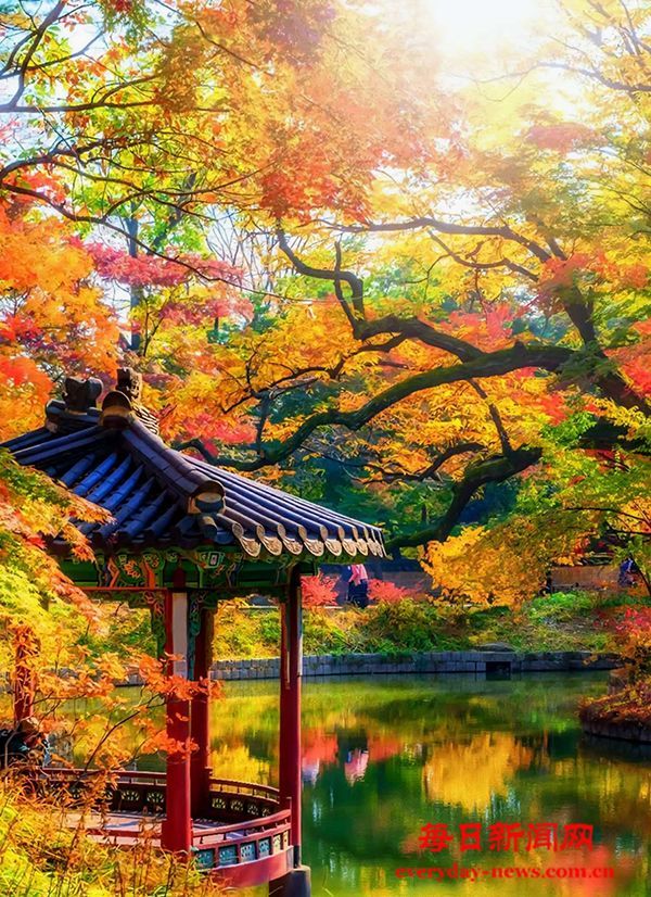 仁言任语 :《京华非梦》