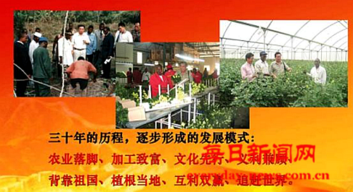 案55555555555555.png 案55555555555555.png