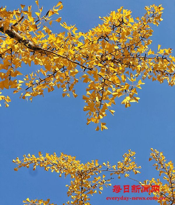 90万元存款的失踪谜局